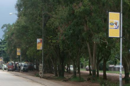 University Lampposts